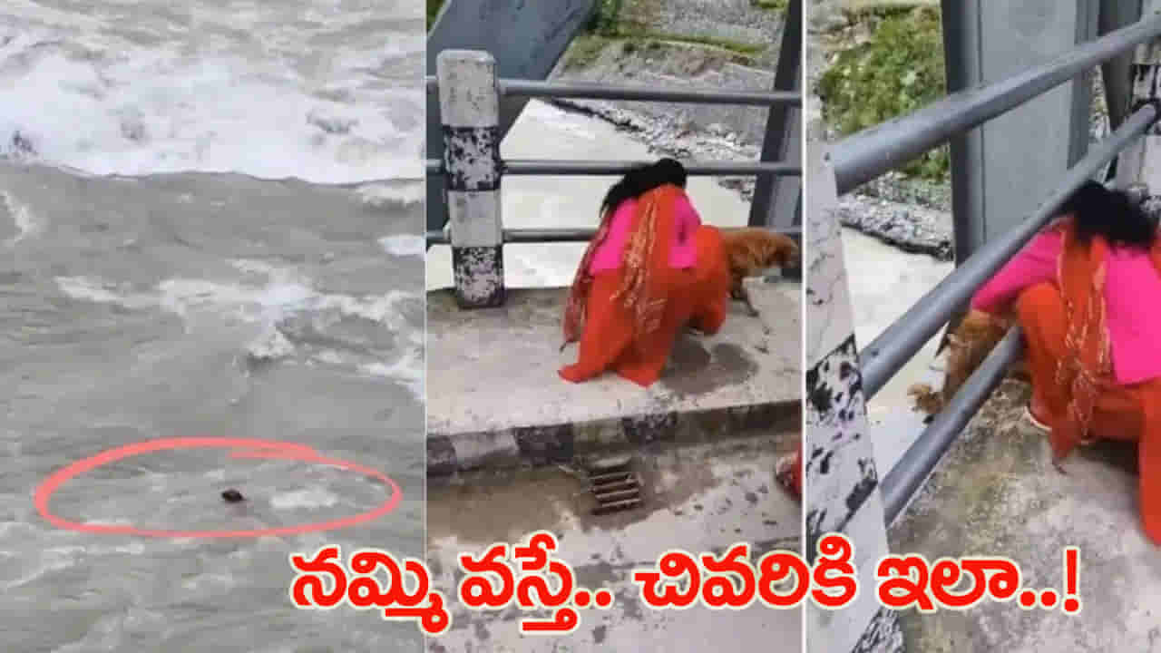 Watch: ఆ మూగజీవికి ఏం తెలుసు..? మనుషులు ఇంత కఠినాత్ములని.. కంటతడి పెట్టిస్తున్న వీడియో!