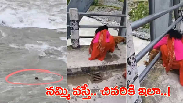 Watch: ఆ మూగజీవికి ఏం తెలుసు..? మనుషులు ఇంత కఠినాత్ములని.. కంటతడి పెట్టిస్తున్న వీడియో!