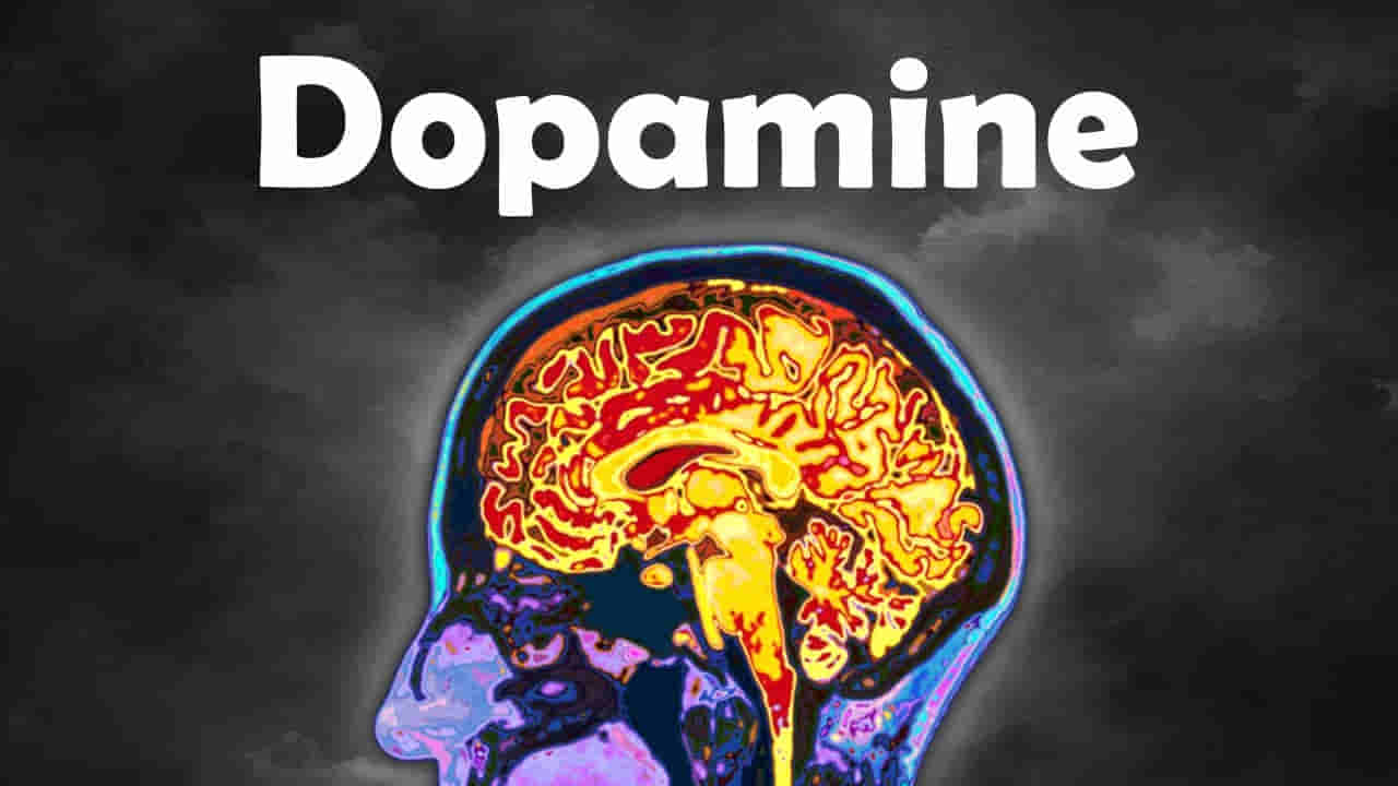 Dopamine: శరీరంలో మీకు ఆనందాన్ని ఇచ్చే.. డోపమైన్ పెంచుకోవడానికి సహజ మార్గాలు ఇవే..