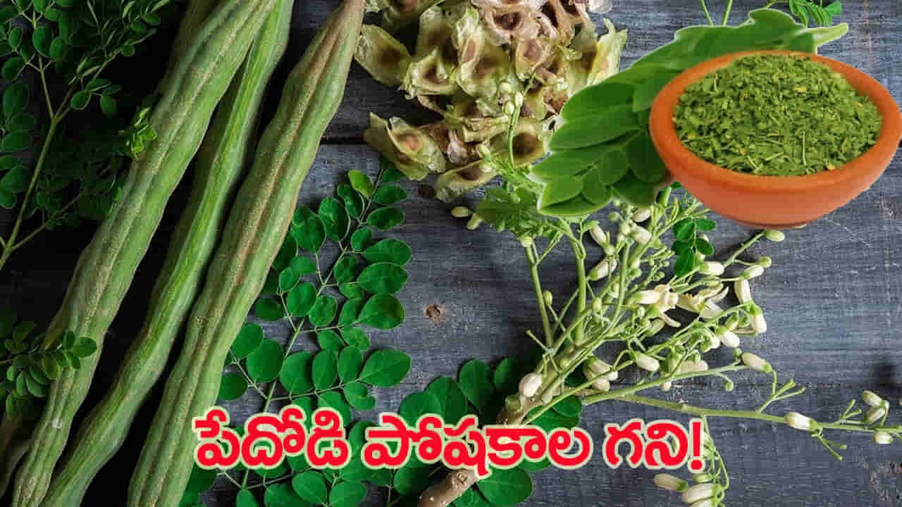 పేదవాడి పోషకాహారం ఇదే.. ఈ ఆకులో ఎన్ని పోషకాలు ఉన్నాయో తెలుసా?