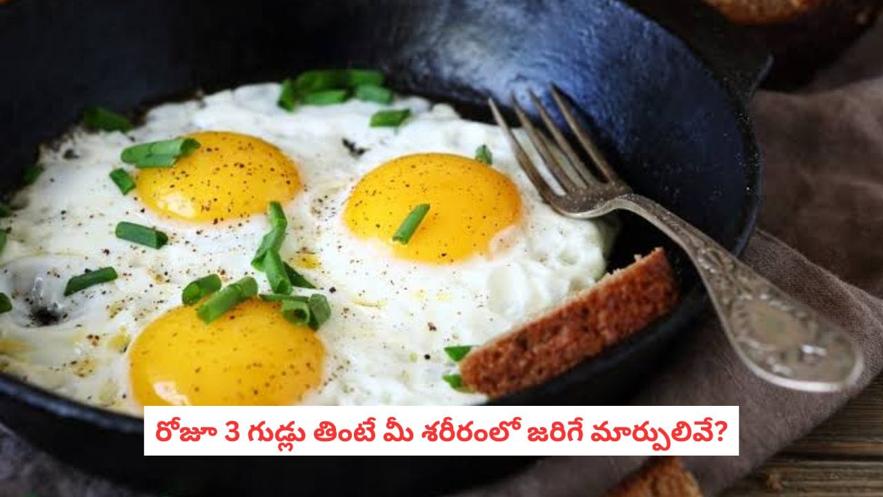 Eating 3 Eggs Daily: గుడ్లను తక్కువ అంచనా వేయకండి.. రోజూ 3 గుడ్లు తింటే శరీరంలో ఏం జరుగుతుందో తెలుసా?