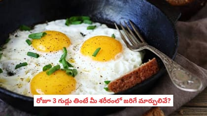 రోజూ 3 గుడ్లు తింటే మీ శరీరంలో జరిగే మార్పులివే?