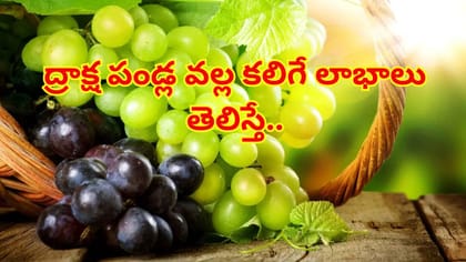 రోజువారీ ఆహారంలో ద్రాక్ష పండ్లు తింటే.. ఆరోగ్యానికి ఇన్ని లాభాలా?