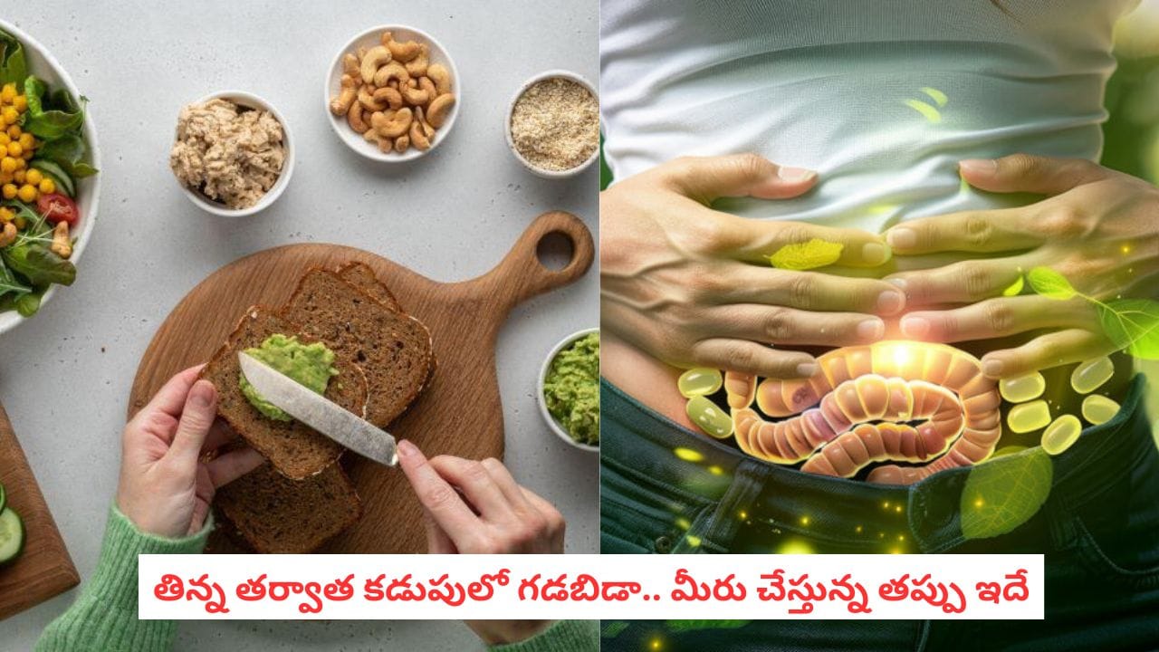 High Fibre Diet: వామ్మో.. ఫైబర్ ఎక్కువగా తింటున్నారా? ఈ ఒక్క తప్పు చేస్తే కడుపు ఉబ్బరం తప్పదు!