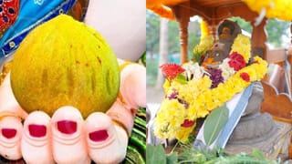 లడ్డూ కాదు.. రూ.2.21 లక్షలు పలికిన విఘ్నేశ్వరుడి ప్రతిమ!.. విగ్రహాన్ని ఏం చేస్తారో తెలుసా?
