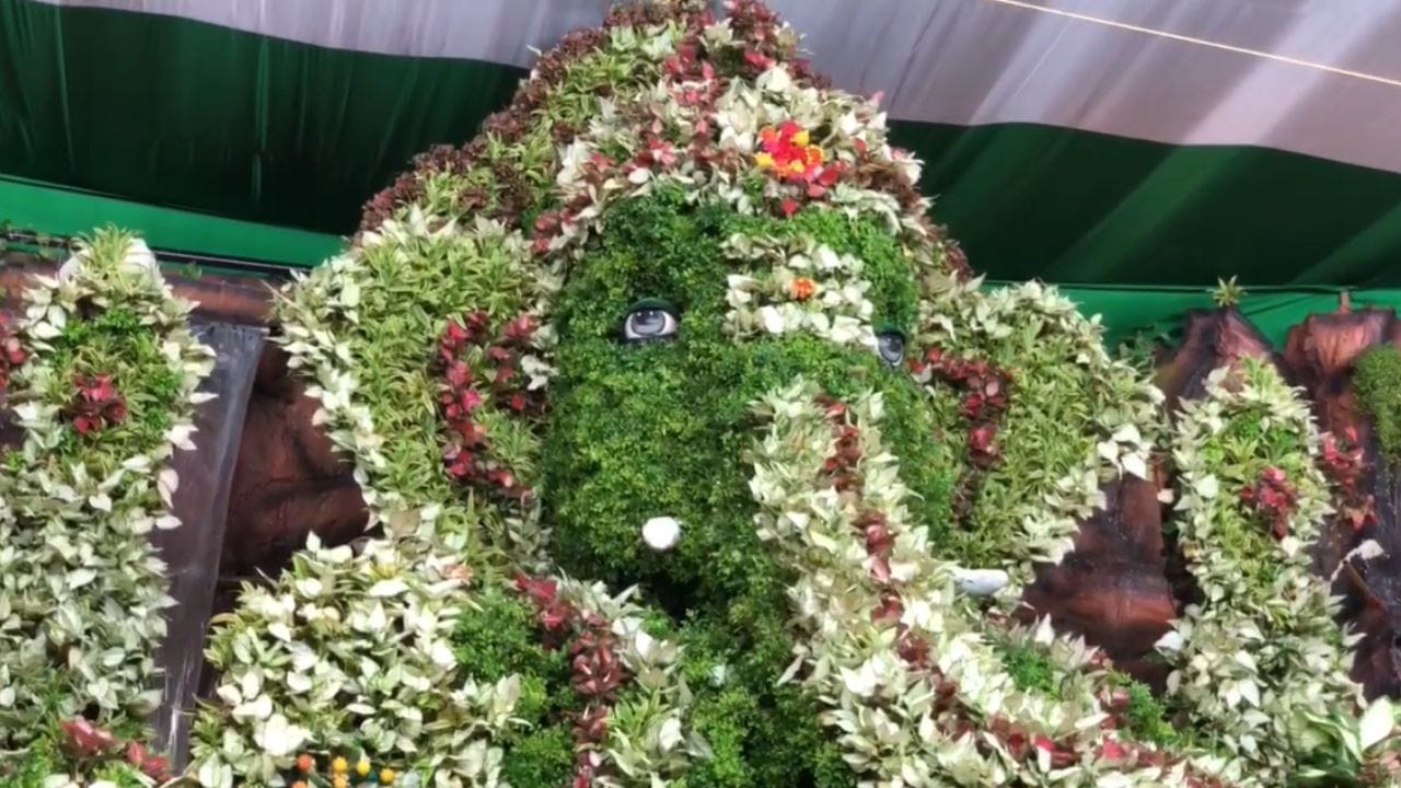 ఈ సస్య గణపతి విగ్రహం కోసం మొక్కలను కడియపులంకలో పెంచారు. ఆర్గానిక్ పద్ధతిలో పెంచి ప్రత్యేకంగా వినాయక చవితి కోసం తీసుకువచ్చారు. మిగిలిన అలంకారం మొక్కలను వివిధ రాష్ట్రాల నుంచి, వాటిలో విదేశీ మొక్కలు కూడా ఉన్నాయని నిర్వాహకులు చెబుతున్నారు.