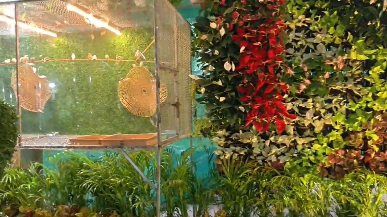16 వేల మొక్కలతో గణపతి విగ్రహాన్ని రూపొందించాలని అనుకున్నారు కానీ.. అంతకుమించి ఈ వినాయక విగ్రహం ఏర్పాటు చేసేందుకు మొక్కలు వినియోగించారు. 21 అడుగుల ఎత్తు వరకు విగ్రహం తీర్చిదిద్దారు . వినాయక ప్రతిమతో పాటు పరిసర ప్రాంతాలను మొక్కలతో అలంకరించారు.