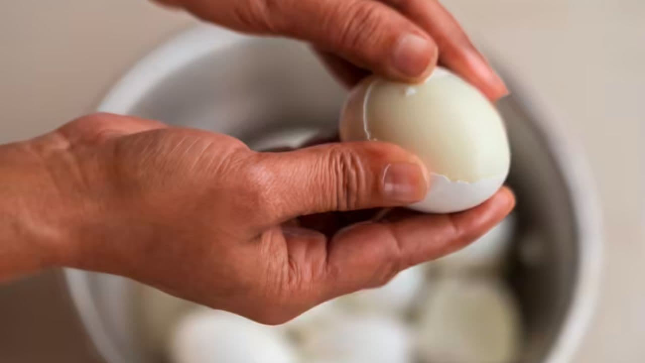 Egg 2