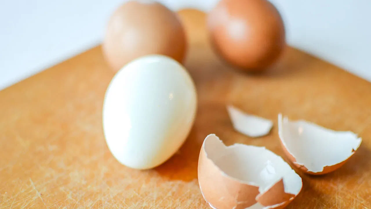 Egg 4