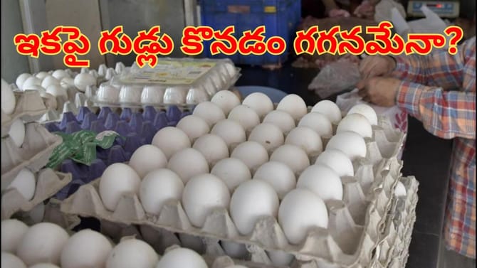 సామాన్యులకు బ్యాడ్‌న్యూస్.. మళ్లీ పెరగనున్న గుడ్ల ధరలు