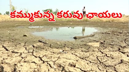 ఎల్‌నినో ఎఫెక్ట్‌.. నల్లగొండలో కరువు ఛాయలు..