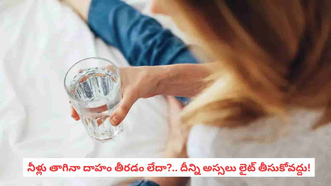 Excessive Thirst: వామ్మో.. నీళ్లు తాగినా దాహం తీరడం లేదా? శరీరం ఇస్తున్న ఈ సంకేతాలను లైట్ తీసుకోకండి!