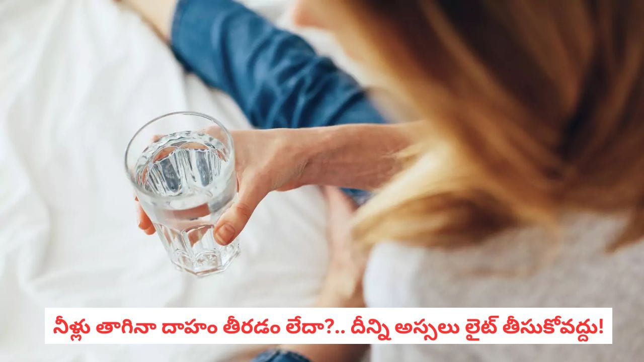 Excessive Thirst: వామ్మో.. నీళ్లు తాగినా దాహం తీరడం లేదా? శరీరం ఇస్తున్న ఈ సంకేతాలను లైట్ తీసుకోకండి!