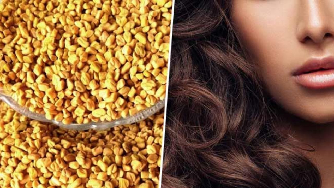 Fenugreek Hair Growth (2)