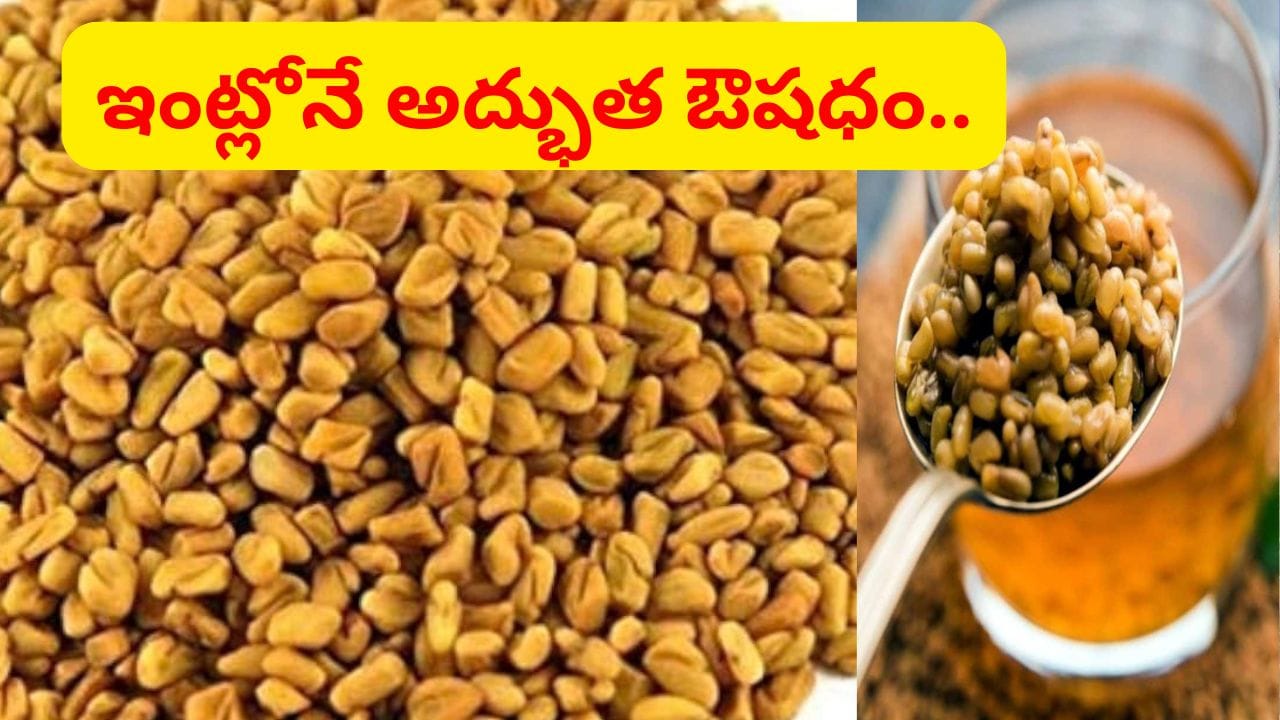 శరీరంలో వేడిని ఇట్టే తగ్గించే గింజలు.. జుట్టు, చర్మం సహజ సౌందర్యానికి దివ్యౌషధం..