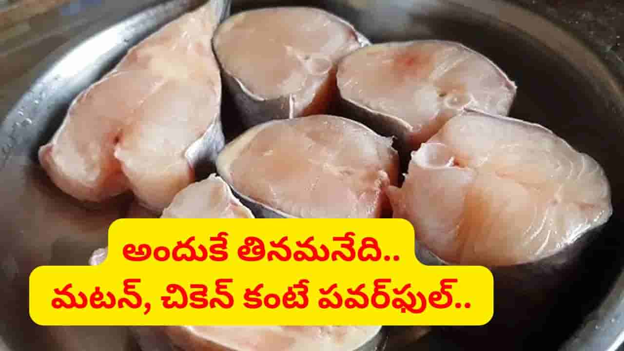 ఐ పవర్, బ్రెయిన్ పవర్ మస్తుగా పెరుగుతుంది.. చికెన్, మటన్ కన్నా తోపు చేపలే.. లాభాలు తెలిస్తే..