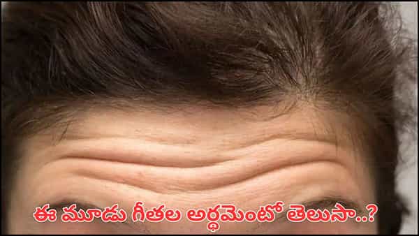 Forehead Lines: నుదుటిపై ఈ 3 గీతలు ఉన్నాయా? అదృష్టం, సిరిసంపదలు మీ వెంటే!