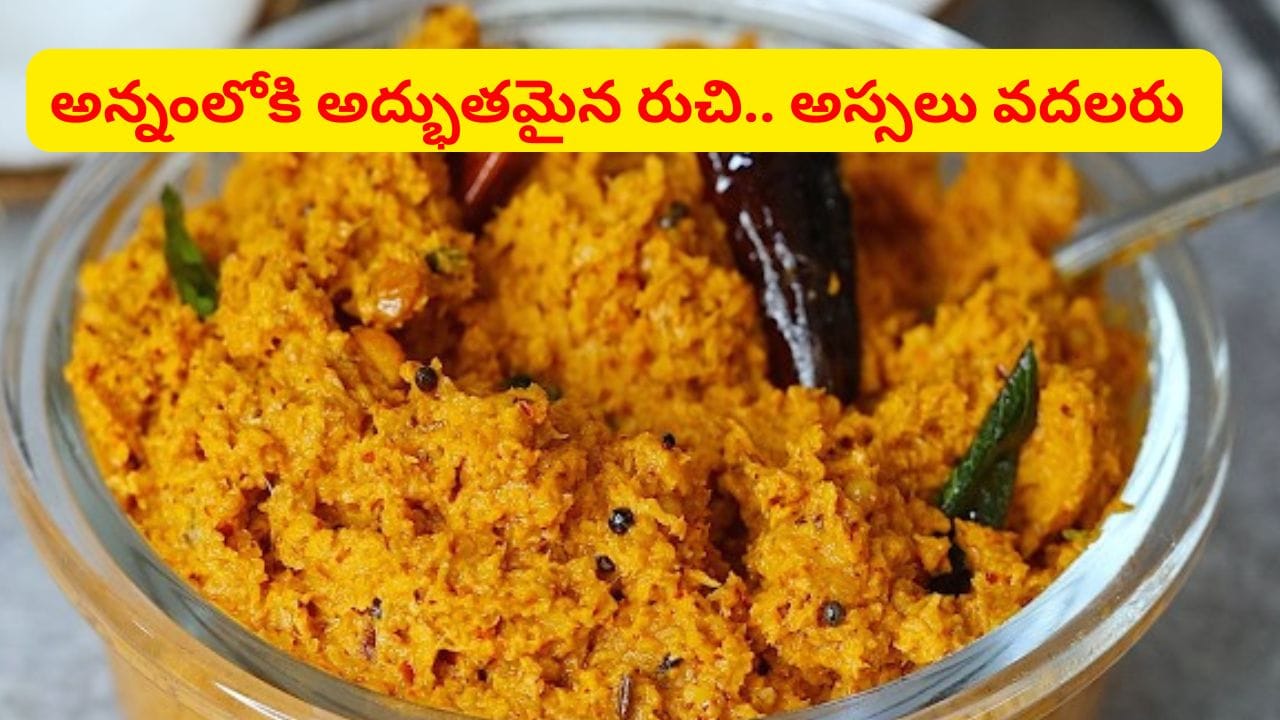 అన్నంలోకి పాతకాలపు పచ్చి కొబ్బరి పచ్చడి.. ఇలా చేస్తే రెండు ముద్దలు ఎక్కువే తింటారు..