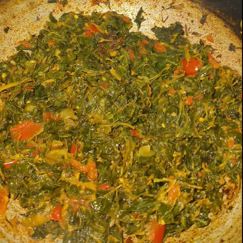 Galijeru Kura (4)