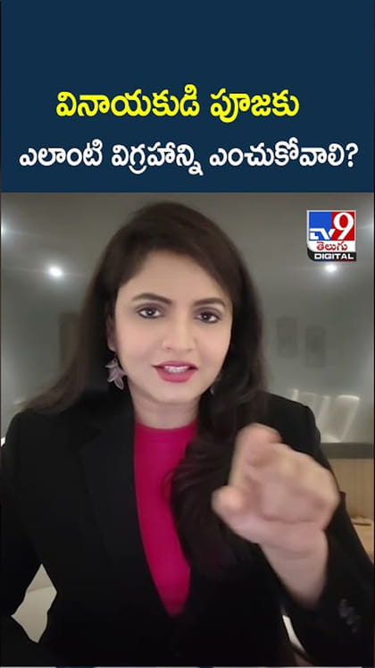 వినాయకుడి పూజకు ఎలాంటి విగ్రహాన్ని ఎంచుకోవాలి?