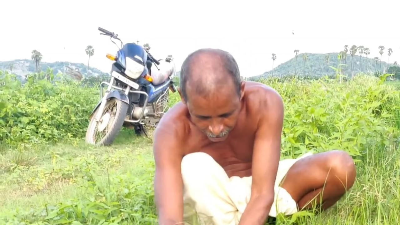 Gandhi 1