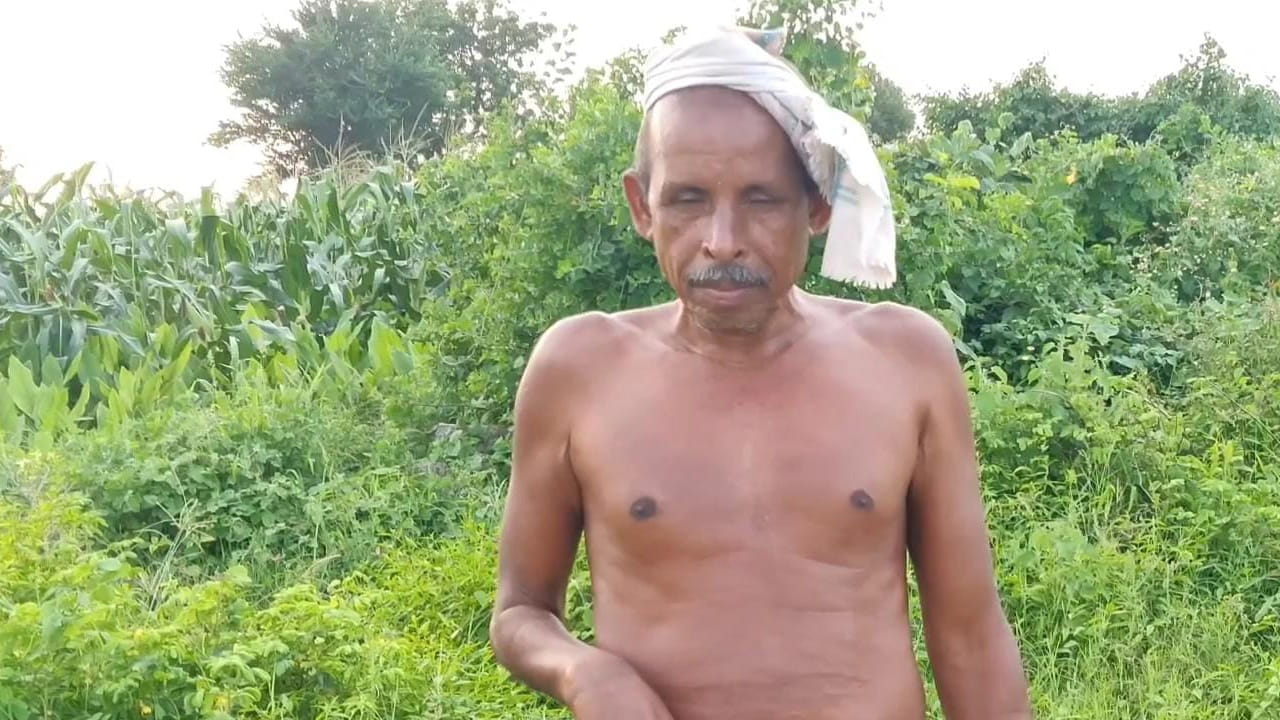 Gandhi 2