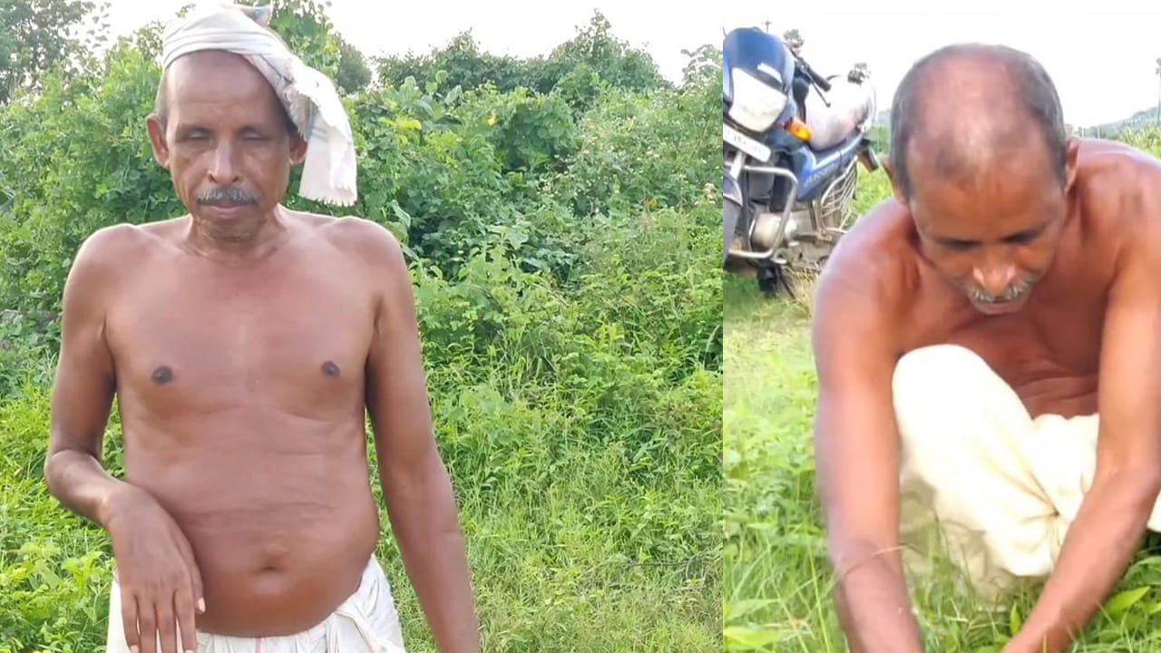 Gandhi 4