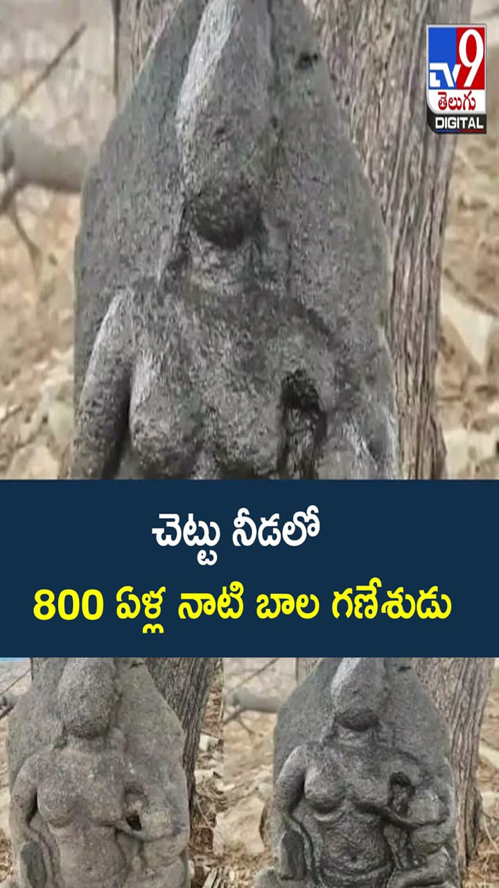చెట్టు నీడలో 800 ఏళ్ల నాటి బాల గణేశుడు