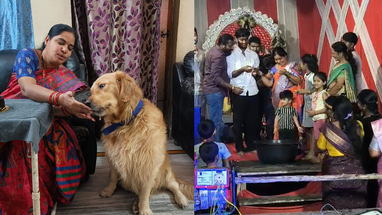 Hyderabad: చనిపోయిన సింబా పేరుతో లక్కీ డ్రా.. వినాయకుడి లడ్డూ ఆమెకే