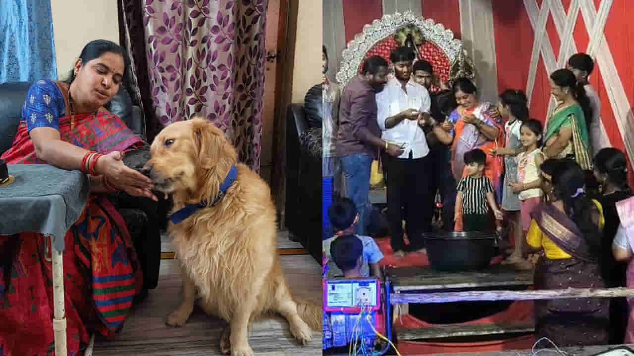 Hyderabad: చనిపోయిన సింబా పేరుతో లక్కీ డ్రా.. వినాయకుడి లడ్డూ ఆమెకే