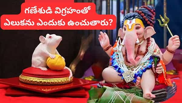 Ganesh Chaturthi: గణేశుడి వాహనం ఎలుక ఎందుకో తెలుసా? అసలు రహస్యం ఇదే!
