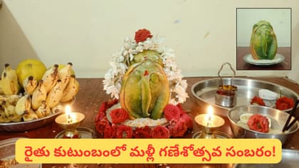 బొప్పాయిలో ప్రత్యక్షమైన గణేశుడు.. గణపతి పండుగ వేళ రైతు కుటుంబంలో