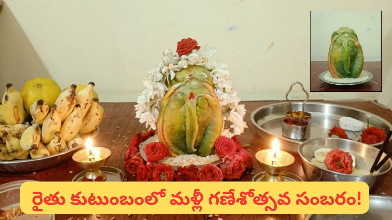 బొప్పాయిలో ప్రత్యక్షమైన గణేశుడు.. గణపతి పండుగ వేళ రైతు కుటుంబంలో పట్టలేని ఆనందం!