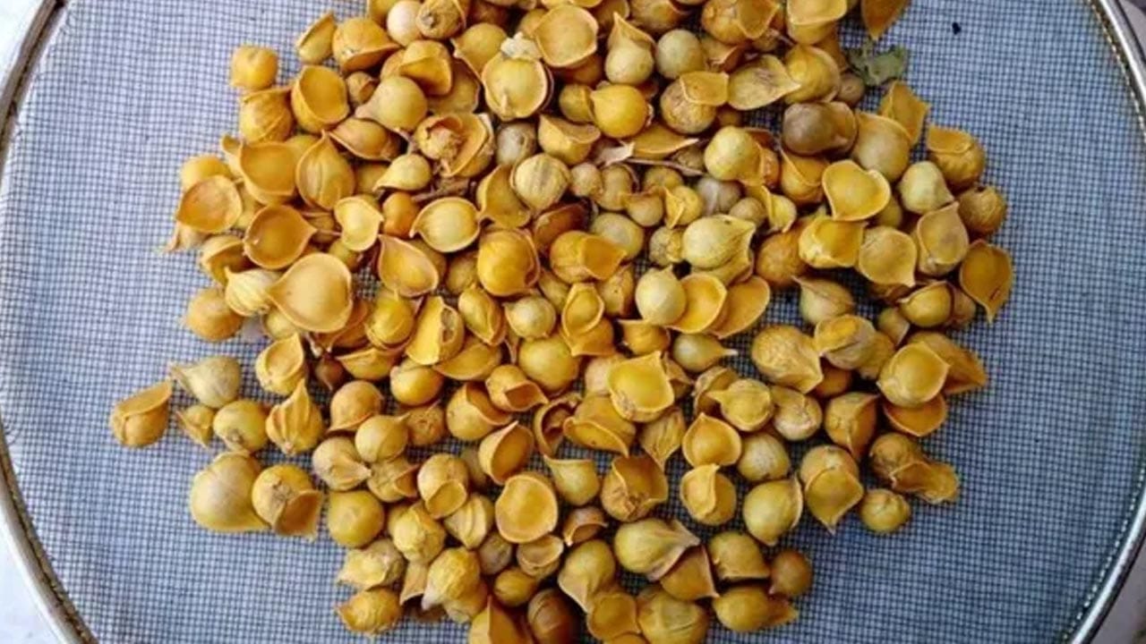 రక్తంలో చక్కెర స్థాయిల నియంత్రణ: డయాబెటిస్తో బాధపడుతున్న వారికి పహాడీ వెల్లుల్లి ఒక సహజ ఔషధంలా పనిచేస్తుంది. దీనిలోని ఎల్లిసిన్ అనే ఆరోమాటిక్ కాంపౌండ్ ఇన్సులిన్ ఉత్పత్తిని ప్రోత్సహించి, భోజనం తర్వాత బ్లడ్ షుగర్ స్థాయిలు అకస్మాత్తుగా పెరగకుండా నిరోధిస్తుంది.