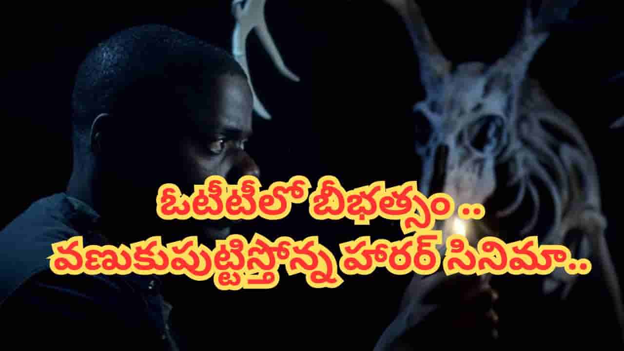 Cinema : దెయ్యమే లేదు.. కానీ వణుకుపుట్టిస్తోన్న మూవీ.. ఓటీటీలో సంచలనం సృష్టిస్తున్న 2500 కోట్ల సినిమా..