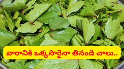 తెలుగు రాష్ట్రాల్లో ఫేమస్.. ఇది తిన్నారంటే ఎన్ని ప్రయోజనాలో..
