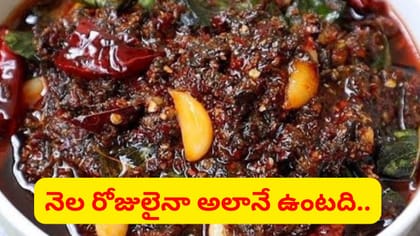 నోట్లో నీళ్లు ఊరించే గోంగూర పచ్చడి 10 నిమిషాల్లోనే..