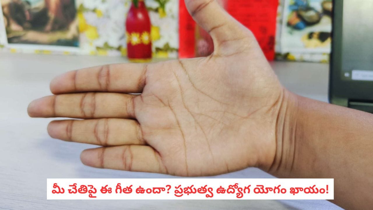 Palmistry Predictions: మీ చేతుల్లో ఈ గీత ఉంటే చాలు.. సర్కారీ కొలువు కొట్టడం పక్కా!