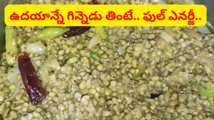 పోషకాలకు పవర్‌హౌస్.. ఉదయాన్నే గిన్నెడు తింటే ఫుల్లుగా శక్తి..