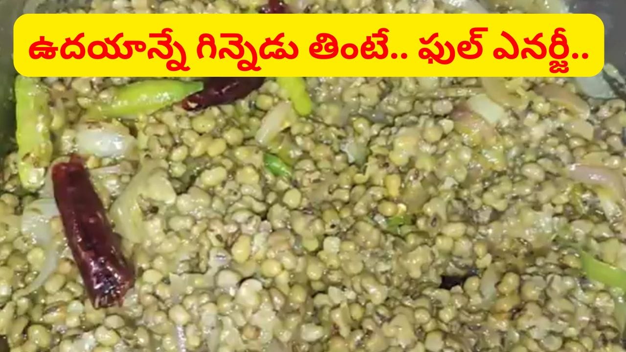 ఫుల్లుగా విటమిన్లు, ఖనిజాలు.. ఏనుగు లాంటి శక్తి కోసం ఉదయాన్నే ఇది గిన్నెడు తినండి..