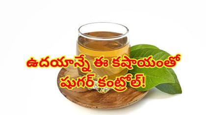 ఈ ఆకు సర్వరోగ నివారిణి.. ఉదయాన్నే ఇలా తిన్నారంటే.. బ్లడ్ షుగర్‌