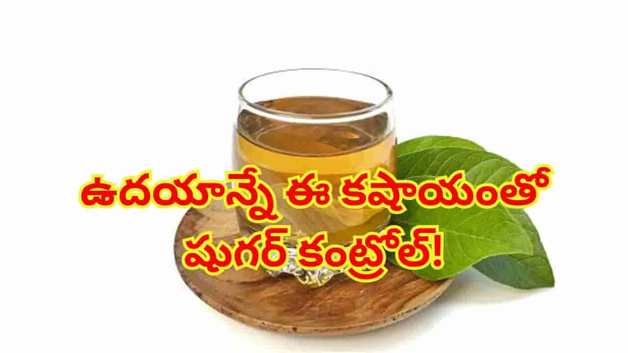 ఉదయాన్నే ఈ కషాయం తీసుకున్నారంటే..మీ బ్లడ్ షుగర్ కంట్రోల్.. ఆయుర్వేదంలో అద్భుత ఔషధం!