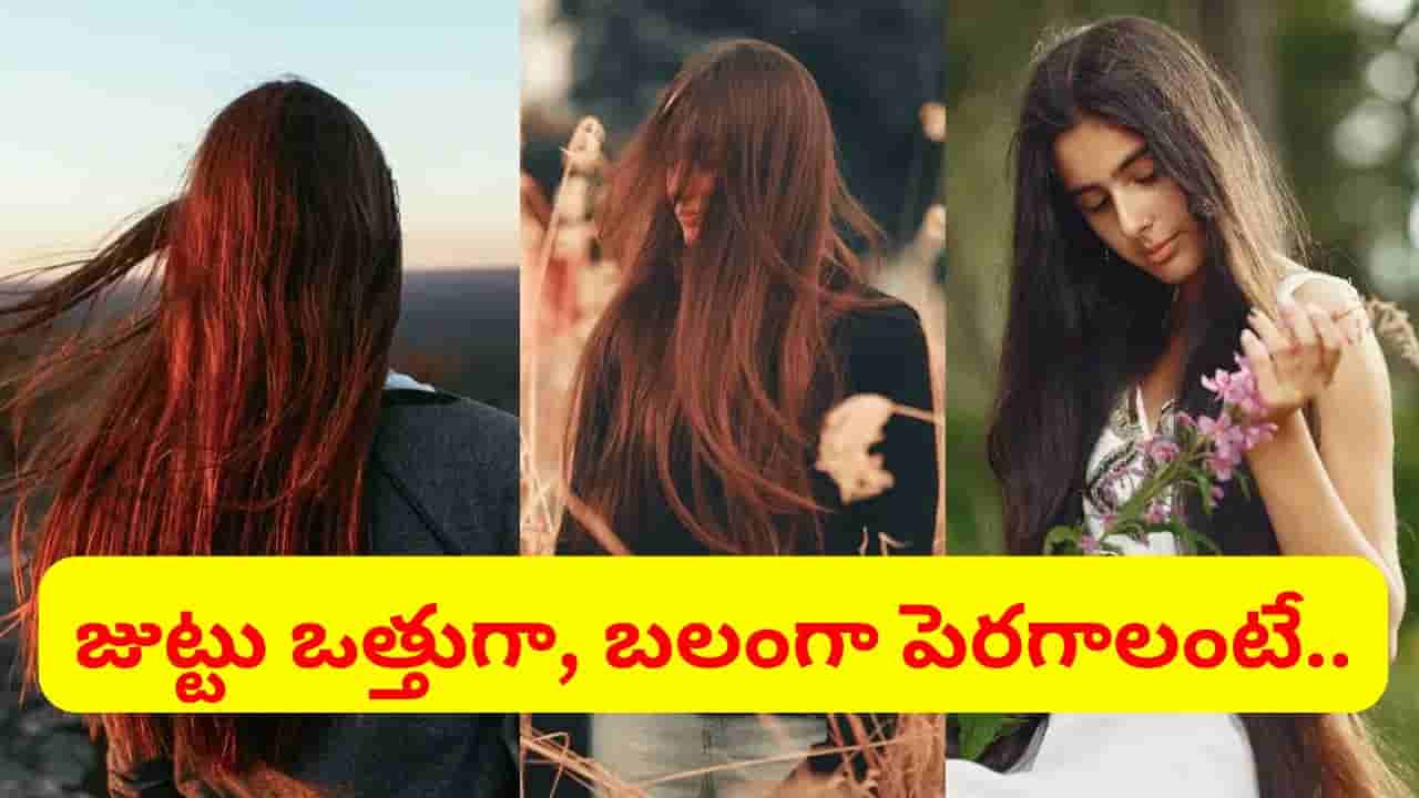 జుట్టు రాలడం ఆగిపోవాలా? ఈ ఒక్క చిట్కా చాలు.. దెబ్బకు ఒత్తుగా బలంగా పెరుగుతుంది..