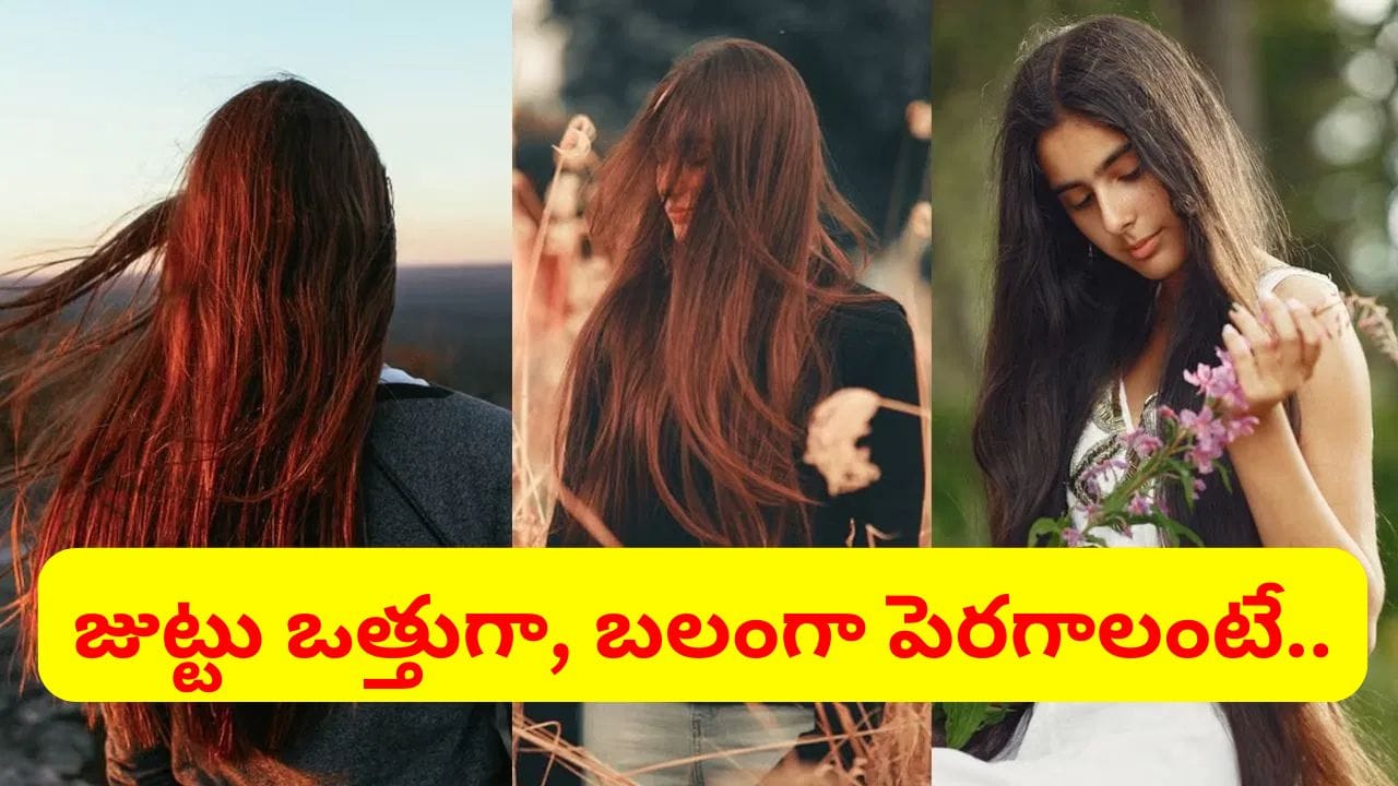జుట్టు రాలడం ఆగిపోవాలా? ఈ ఒక్క చిట్కా చాలు.. దెబ్బకు ఒత్తుగా బలంగా పెరుగుతుంది..