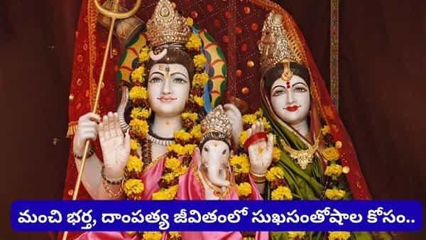 Hartalika Teej: హర్తాలిక తీజ్ వ్రత కథ.. శివుడిని భర్తగా పొందేందుకు పార్వతీదేవి ఏం చేసిందో తెలుసా?