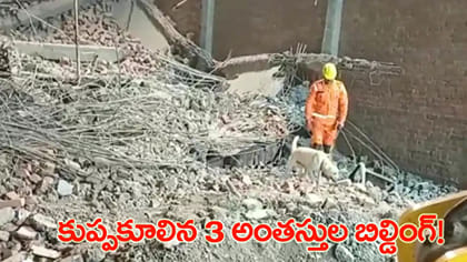 నిర్మాణంలో ఉన్న బిల్డింగ్ కుప్పకూలి ఆరుగురు మృతి