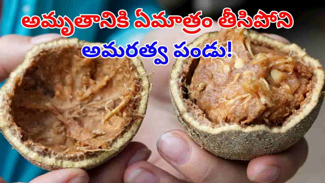Wood Apple: ఎసిడిటీని మాయం చేసి జీర్ణసమస్యకు చెక్ పెట్టే అమృత ఫలం.. వారానికి ఒక్కటి తింటే..
