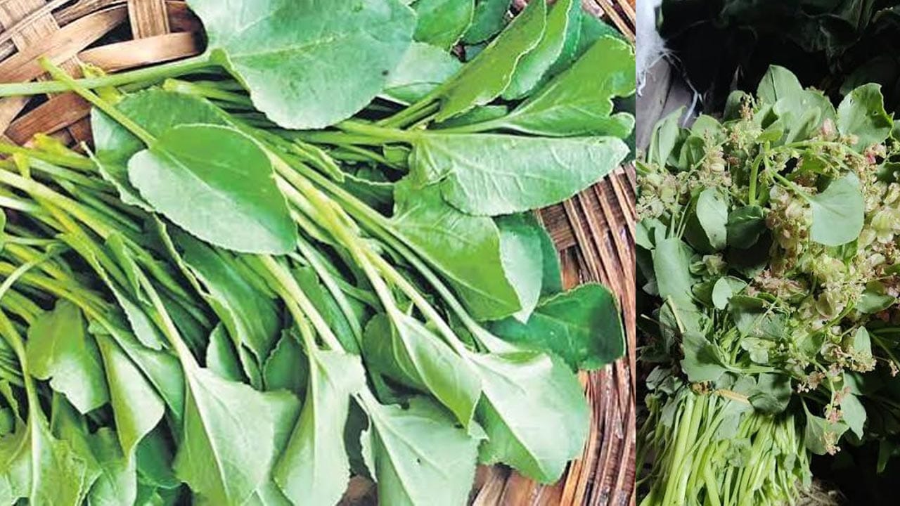 గుండె ఆరోగ్యం, బిపి నియంత్రణ- చుక్కకూరలో పొటాషియం, యాంటీఆక్సిడెంట్లు సమృద్ధిగా ఉంటాయి. ఇవి రక్తపోటును అదుపులో ఉంచి, రక్తనాళాల్లో కొవ్వు పేరుకుపోకుండా కాపాడతాయి. దీనివల్ల గుండెపోటు వంటి తీవ్ర సమస్యల ప్రమాదం తగ్గుతుంది.
