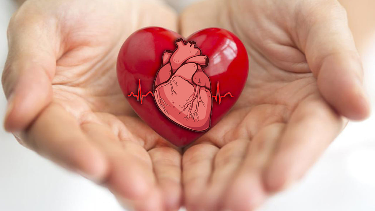 Heart 3