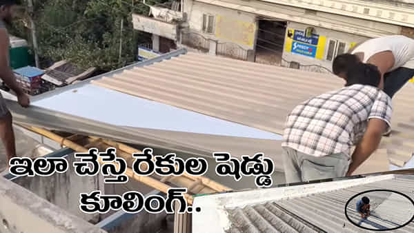 Heat Solutions Heat: రేకుల షెడ్డులో వేడితో తట్టుకోలేకపోతున్నారా? ఇలా చేస్తే ఏసీలాంటి కూలింగ్..!